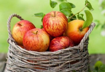 Come rendere le mele essiccate al sole a casa?