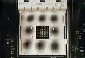 Socket AMD: descripción, características y procesadores