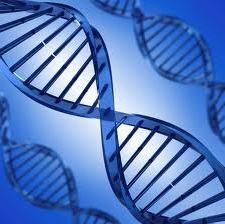 Gene – qu'est-ce? la génétique des sciences étonnantes et incroyables
