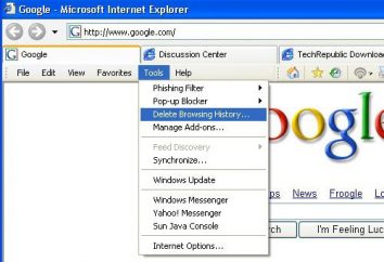 Cómo eliminar el historial de Internet Explorer: instrucción