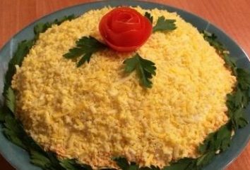 Salada de Sauro enlatados: fantasiar, cozinheiro, tente!