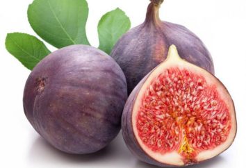 Jak przydatne figi? Korzyści dla kobiet świeżych i suszonych fig