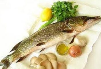 Sudak: ricetta di pesce