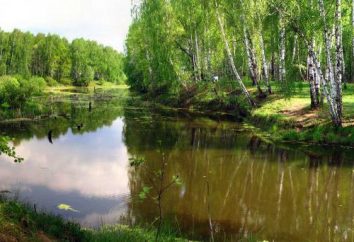 pesca Taxa: Yusupovo (distrito Domodedovo)