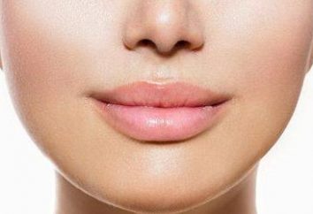 Enchimentos nos lábios. Lábio enchimento aumento: determinado procedimento, contra-indicações