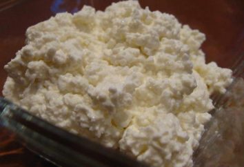 Le gâteau de levure avec du fromage: en particulier la cuisine et recettes