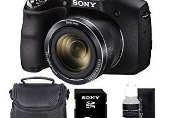 Caméra Sony Cyber-shot DSC H300: avis de professionnels et amateurs