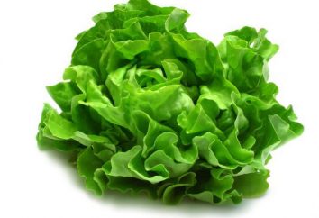 Salat „Killing Me Softly“ – die Rezeptur und Variationen Tipps