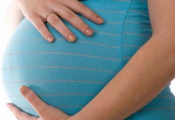 Grand foetus pendant la grossesse: caractéristiques et son processus de livraison