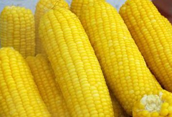 Kukurydza w podwójnej kotła: gotowanie tajemnic