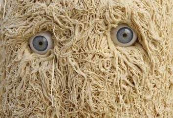Pastafarianstvo – diese Kirche … fliegendes Monster Pasta. Gebote pastafarianstva
