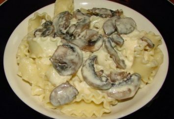 deliziosa pasta con funghi in salsa di panna: una ricetta