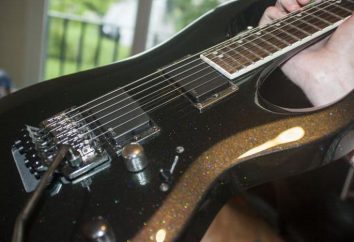 Las guitarras eléctricas Cort: descripción, modelos, características y opiniones