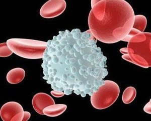Pourquoi les globules blancs du sang réduit?