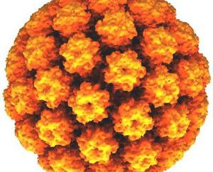 Wirus brodawczaka ludzkiego: objawy, sposoby zakażenia, diagnozowania i leczenia