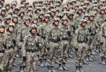 Il moderno esercito del Kazakhstan: il numero e armamento