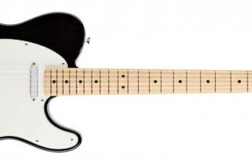 "Fender" – Gitarrenlegende. Die Geschichte der Marke und Modellüberprüfung