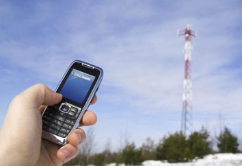 Como habilitar o roaming "Beeline"? Conecte de roaming na Rússia ( "Beeline"): conselho, custo