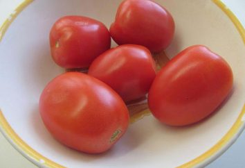 Konserwy sałatka z pomidorów, ogórków, papryki i cebuli. Puszki pomidor sałaty