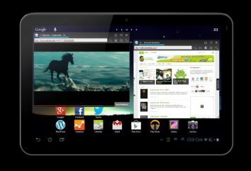 Browser per tablet: revisione delle migliori applicazioni