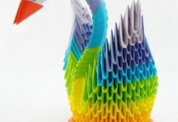 Indo módulo origami cisne-técnica 3D