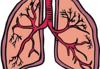 El tratamiento de la bronquitis y sus síntomas