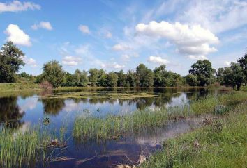 "Volga-Akhtuba pianura alluvionale" Parco Naturale: come arrivarci? Foto, descrizione