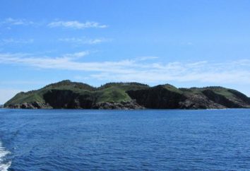 Attrazioni: Isola di Terranova: la storia, il clima