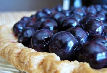 Blueberry pie w multivarka: recepty