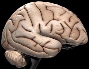 Comment améliorer la circulation des cerveaux. Les médicaments qui améliorent la circulation des cerveaux