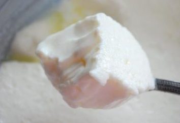 Wytwarzanie gruzińskiego jogurtu w domu