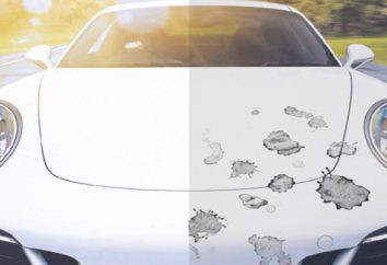 La película protectora sobre las fichas en el coche: las especies, especialmente