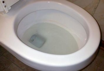 Toaleta „antivsplesk”: wariacje antivspleska i opinie
