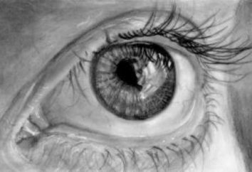 Jak narysować ołówkiem oczu w etapach
