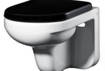 toalete squat Gustavsberg Artic 4310: descrição e comentários. banheiros Avaliação