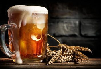 Beer "Buket de Chuváchia", o que o distingue de outros fabricantes de cerveja