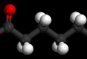 ácido hexanóico, como um representante dos ácidos gordos saturados