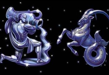 Kompatybilność horoskop. Unia Koziorożec-wodnik kobieta + mężczyzna