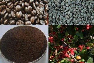 El café instantáneo – el café es un producto natural o no?