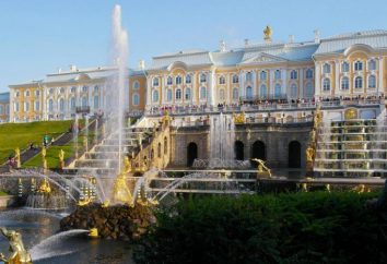 Architekten von St. Petersburg – wer sind sie?