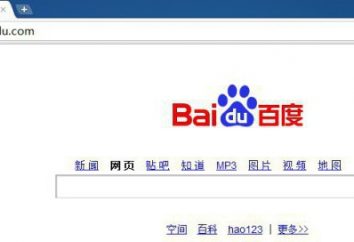 Come rimuovere "Baidu" con un computer? Come rimuovere Baidu: informazioni utili