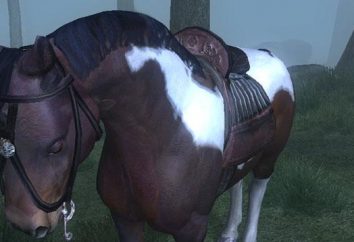 O que é Izzy no "Horses" jogo?
