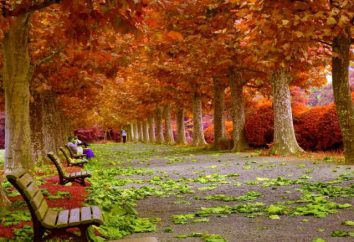 Um ensaio sobre o tema "Outono": exemplos da escrita