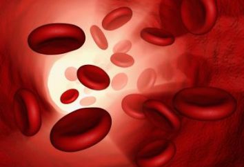 Erhöht Hämoglobin im Blut richtig