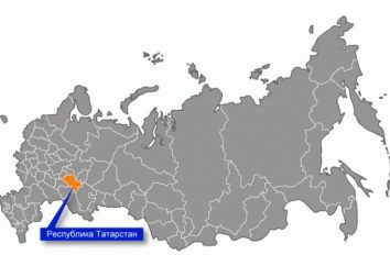 ¿Con qué súbditos de la Federación de Rusia la frontera de Tatarstán? Relaciones entre regiones vecinas