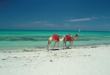 Djerba, Tunisia: i pro ei contro del turista vacanza