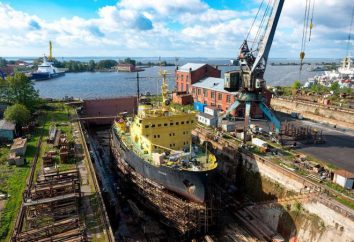 Marine Impianto Kronstadt – con fiducia al futuro