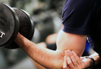 La formazione sul peso delle mani. Come costruire muscoli del braccio: esercitazione