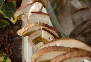 funghi bianchi: come asciugarle in molti modi