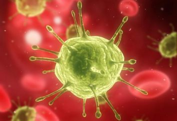Adenovirus (adenovirus) – che cos'è? Come per il trattamento di adenovirus?
